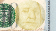 100 USD Watermark